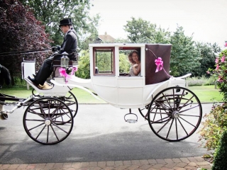 Wedding Carriage Hire - Drayhorse Shires, Gold Coast, BrIsbane