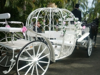 Cinderella Carriage Wedding- Drayhorse Shires, Brisbane, Gold Coast